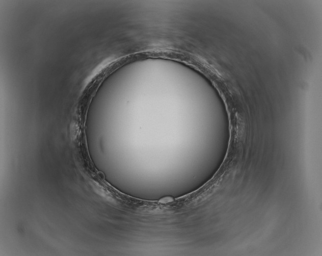 X0000112501400200908171259