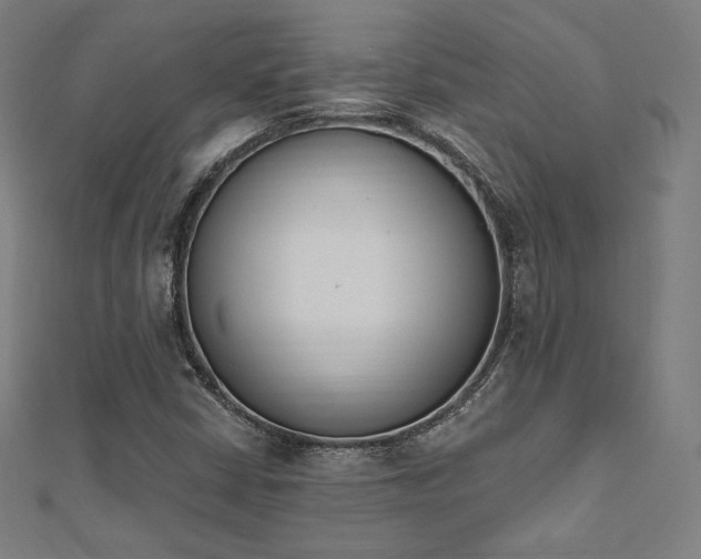 X0000112501402200908171259
