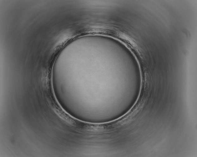 X0000112501403200908171259