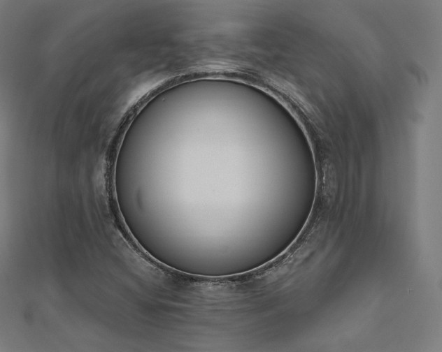 X0000112501404200908171259
