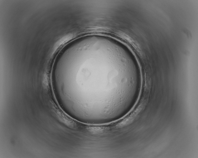 X0000112501405200908171259