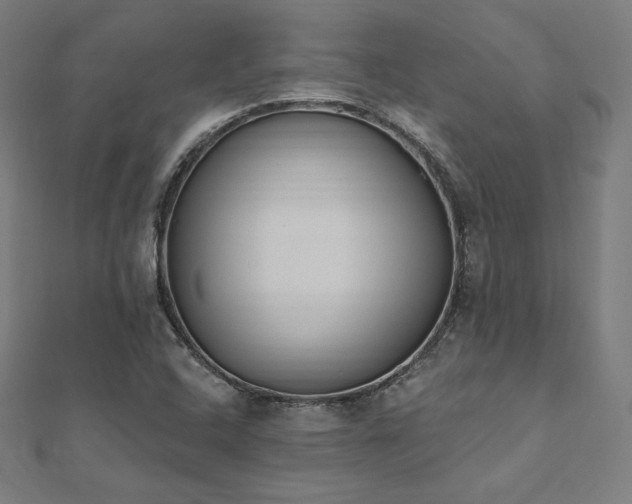 X0000112501408200908171259