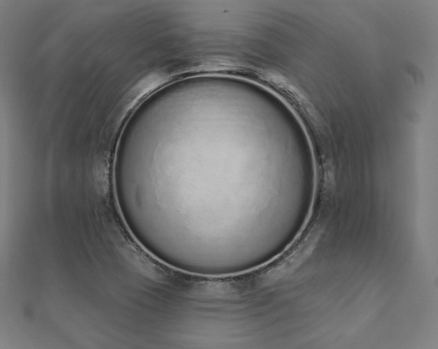 X0000112501409200908171259