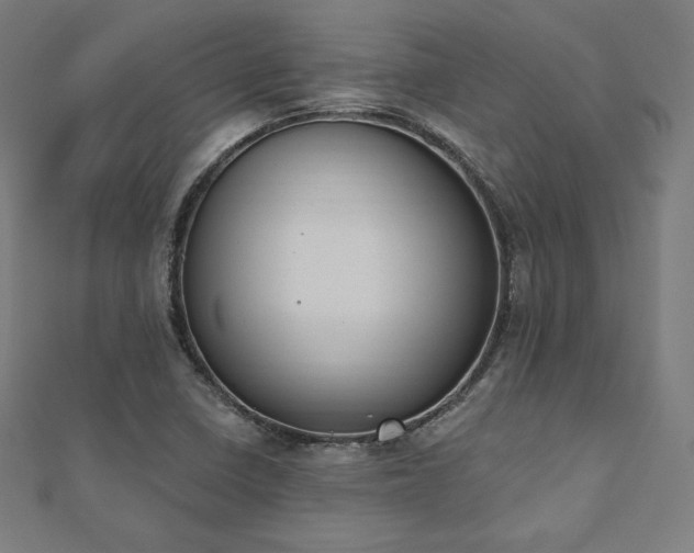 X0000112501410200908171259