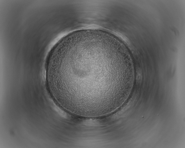 X0000112501414200908171259