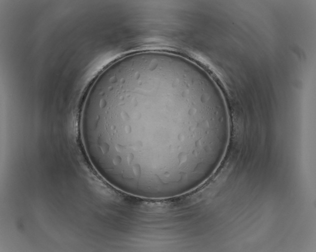 X0000112501415200908171259