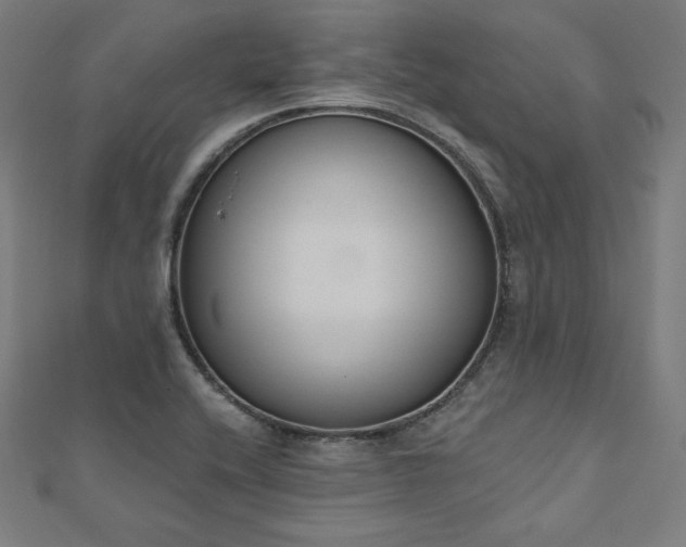 X0000112501416200908171259