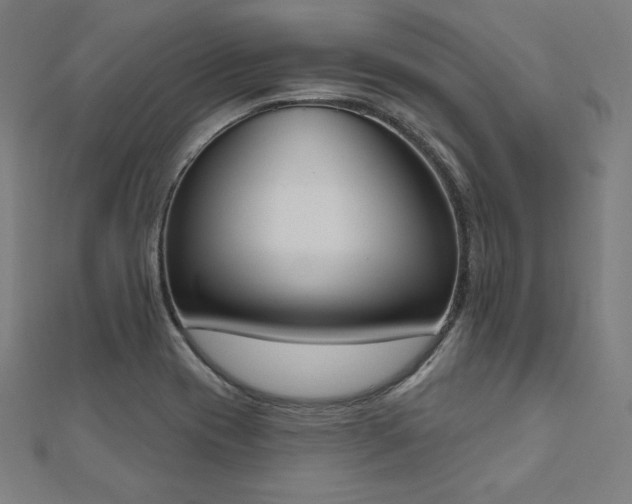 X0000112501417200908171259