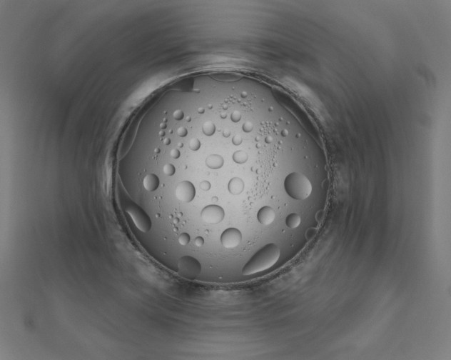 X0000112501419200908171259