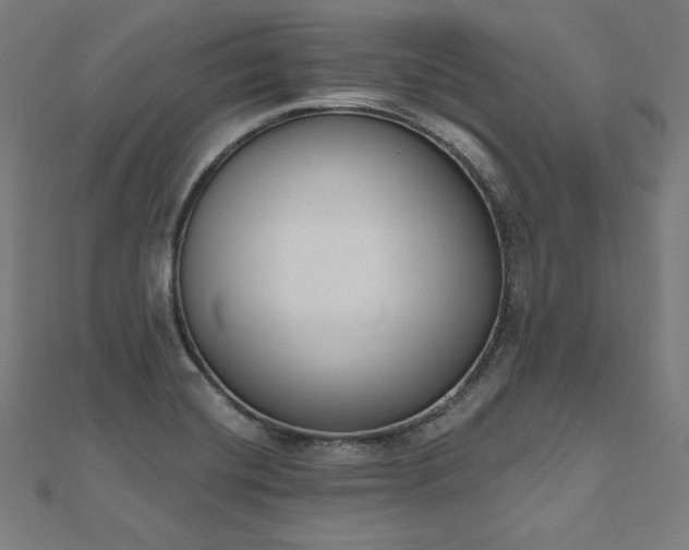 X0000112501420200908171259