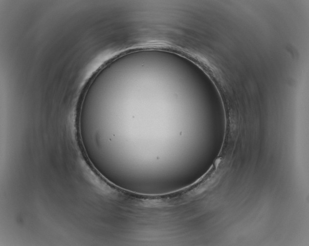 X0000112501422200908171259