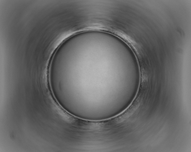 X0000112501423200908171259
