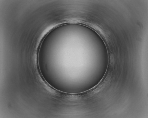 X0000112501424200908171259