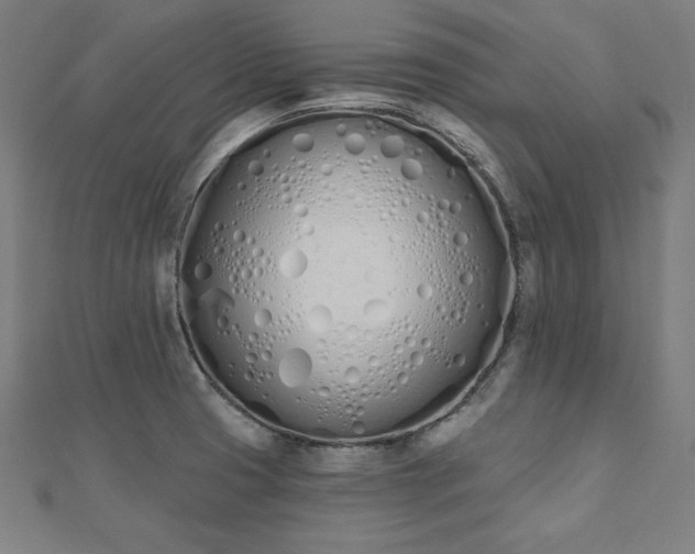 X0000112501425200908171259