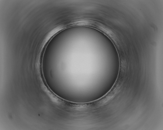 X0000112501426200908171259