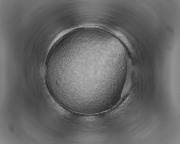 X0000112501428200908171259