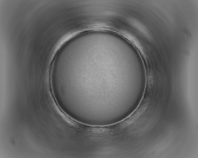 X0000112501429200908171259