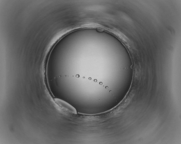 X0000112501430200908171259