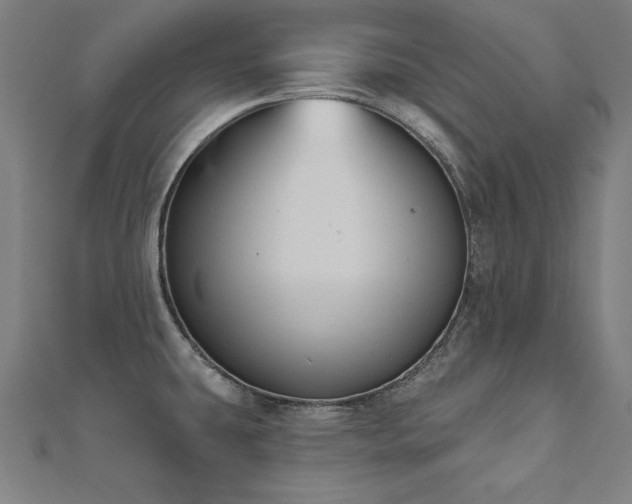 X0000112501431200908171259