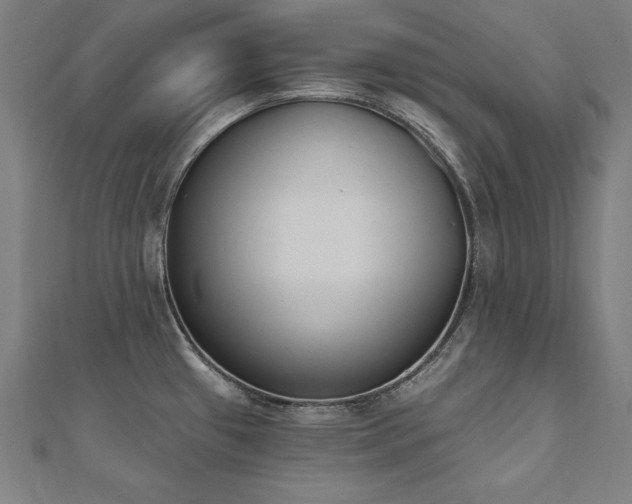 X0000112501433200908171259