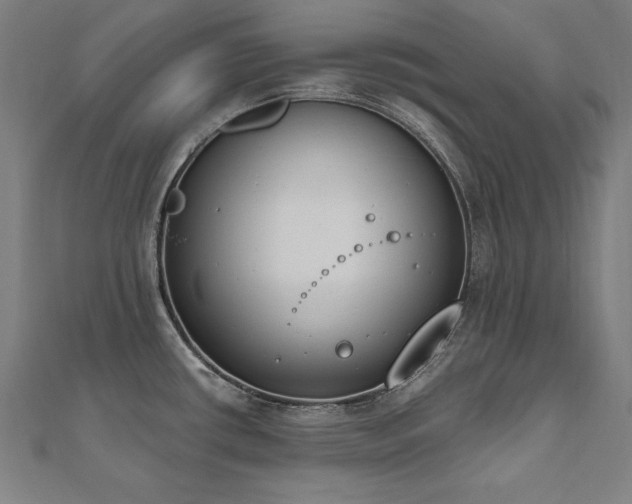 X0000112501434200908171259