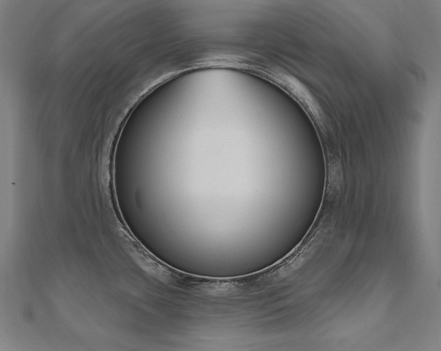 X0000112501435200908171259