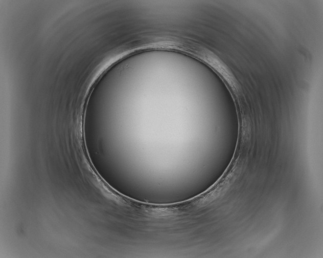 X0000112501436200908171259