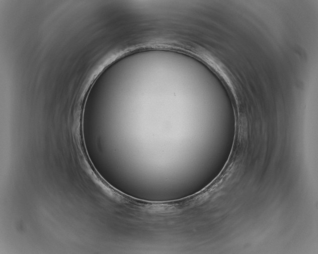 X0000112501437200908171259