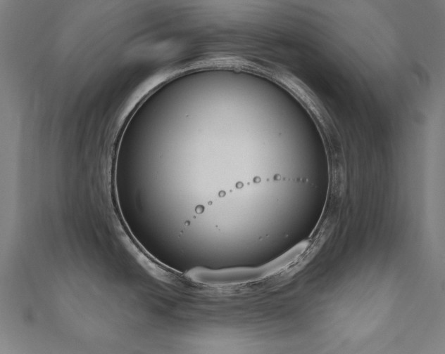 X0000112501438200908171259