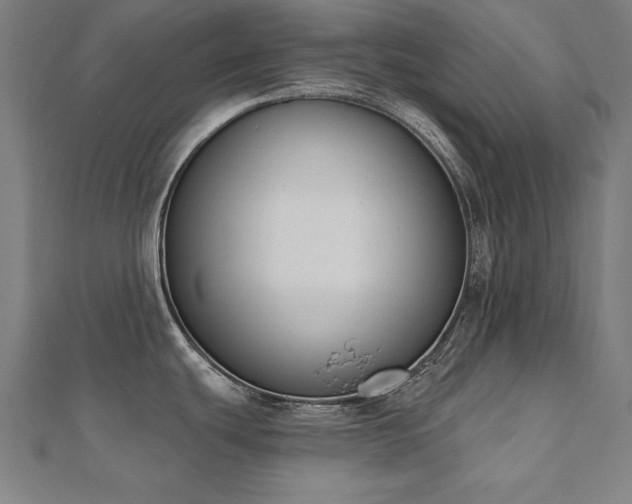 X0000112501439200908171259