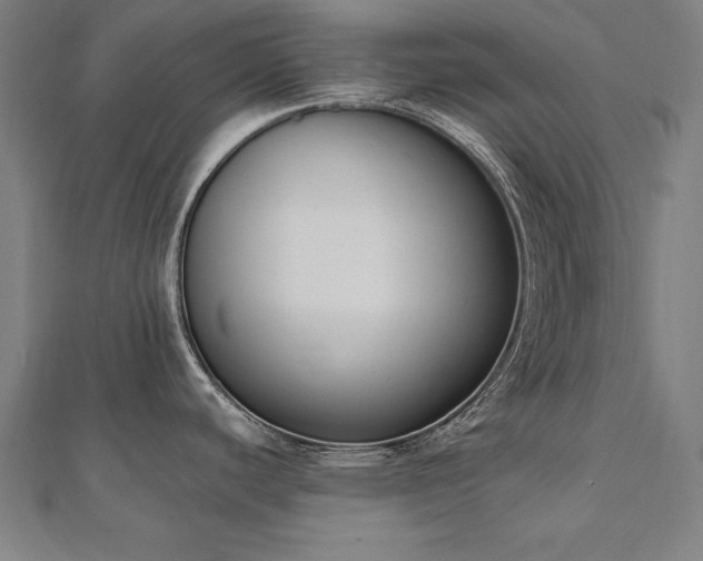 X0000112501440200908171259