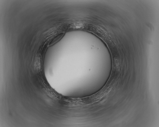X0000112501442200908171259