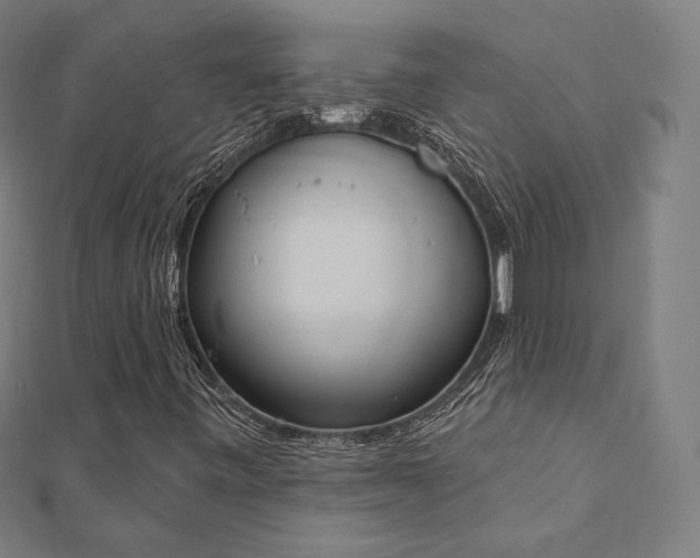 X0000112501443200908171259