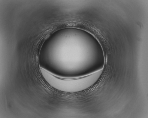 X0000112501444200908171259