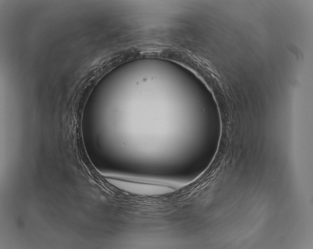 X0000112501445200908171259