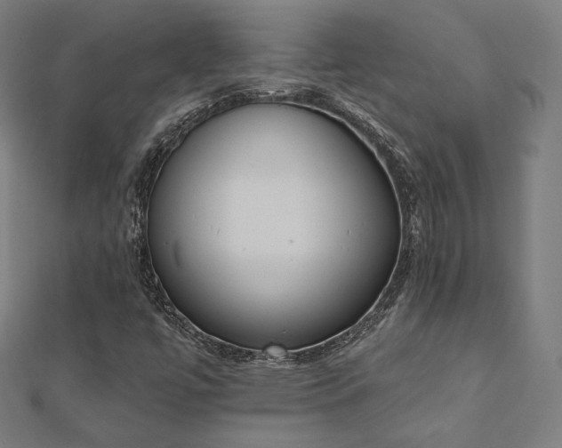 X0000112501447200908171259