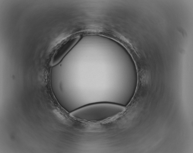 X0000112501448200908171259