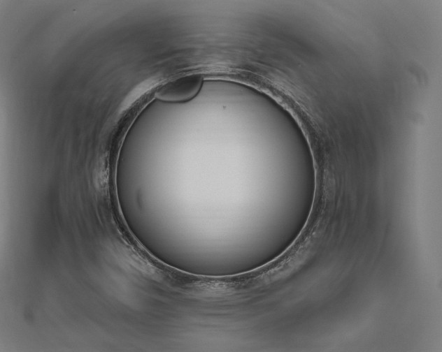 X0000112501450200908171259
