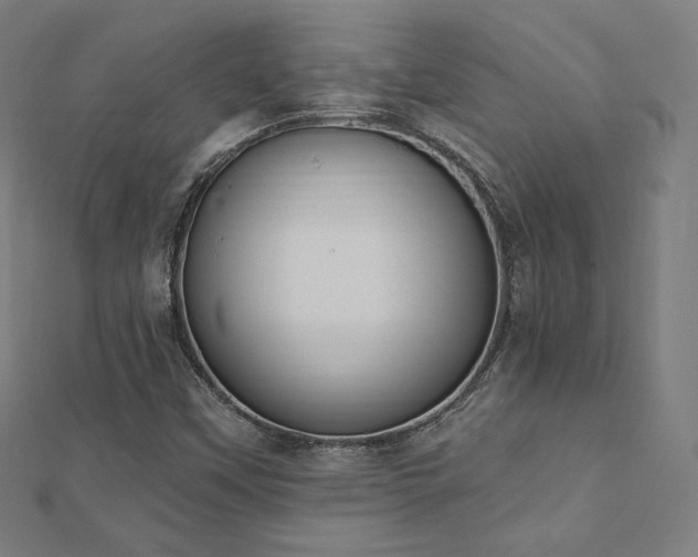 X0000112501451200908171259