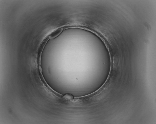 X0000112501452200908171259