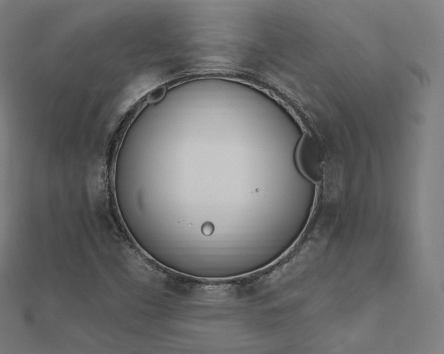 X0000112501453200908171259