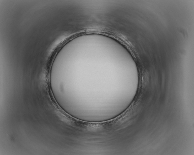 X0000112501454200908171259