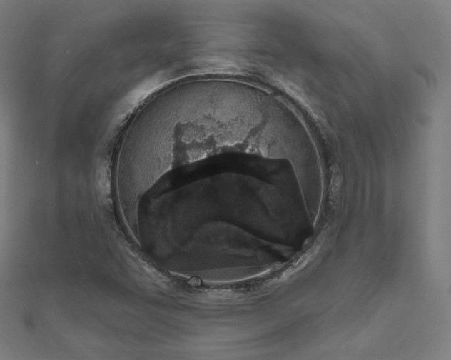 X0000112501455200908171259