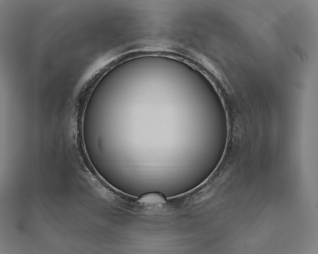 X0000112501456200908171259