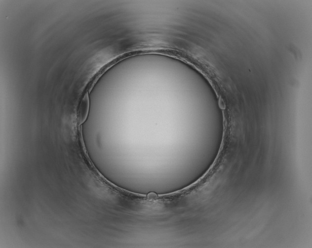 X0000112501457200908171258