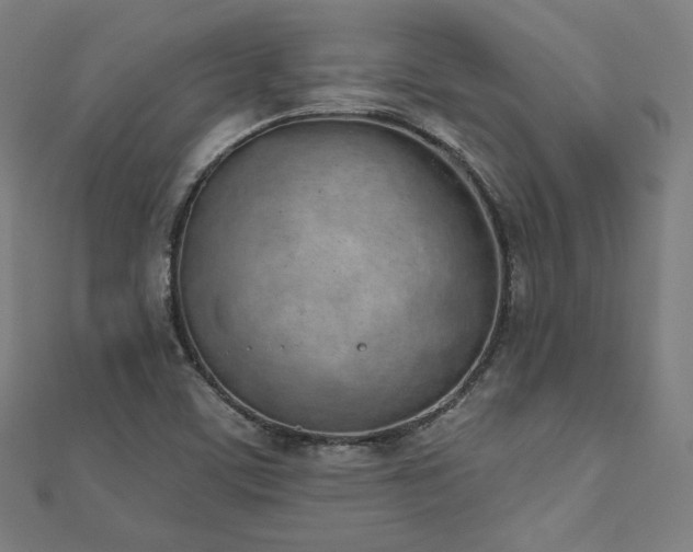 X0000112501459200908171258