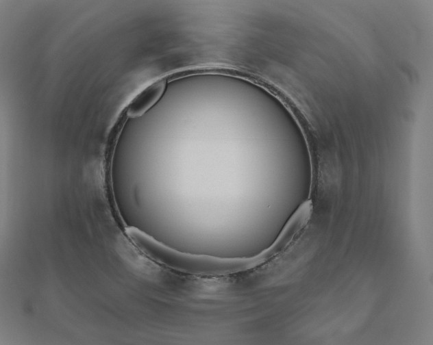 X0000112501460200908171258