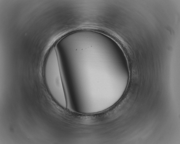 X0000112501461200908171258