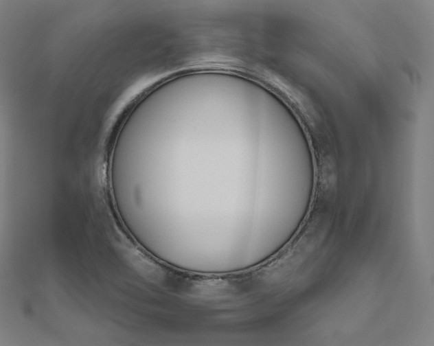 X0000112501462200908171258