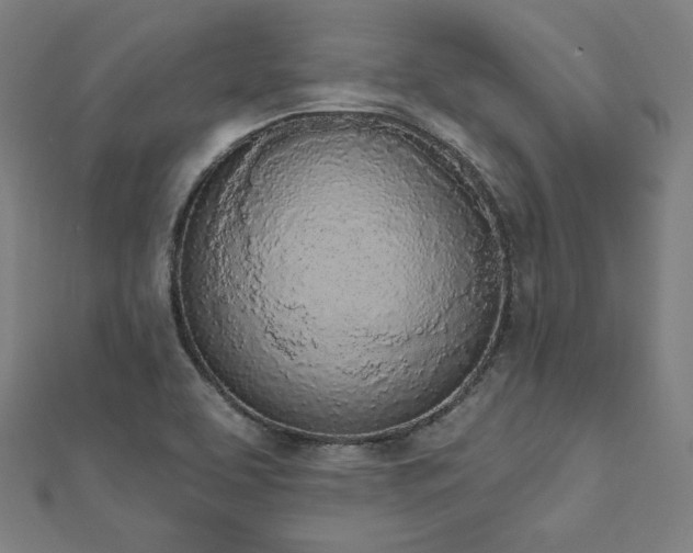 X0000112501463200908171258
